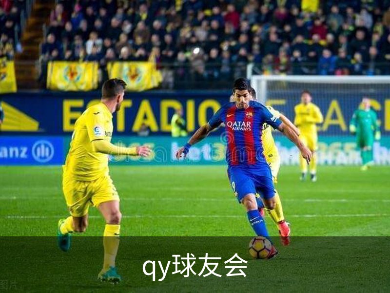 qy球友会介绍